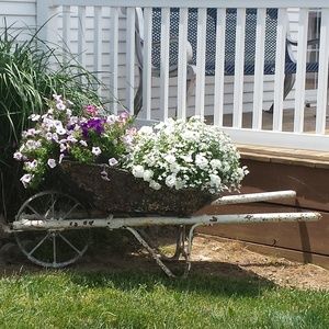 Meet your Posher, Tracey